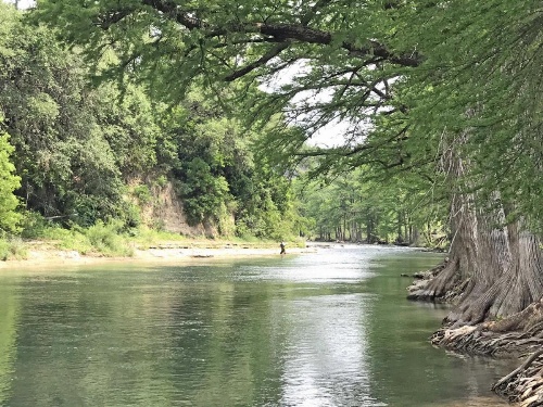 Lakeshore Escape Home image 34